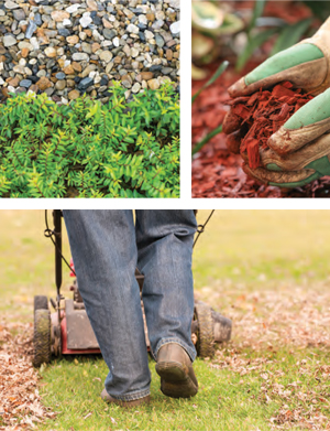 Mulch Matters | Protect and Prepare for the Next Growing Season